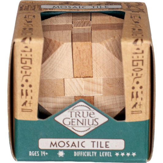 Project Genius True Genius Mosaic Tile Brain Teaser Puzzle – product view