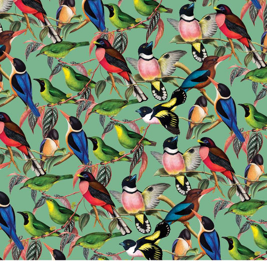 House of Puzzles ZSL Brilliant Birds 1000 Piece Jigsaw Puzzle image 2