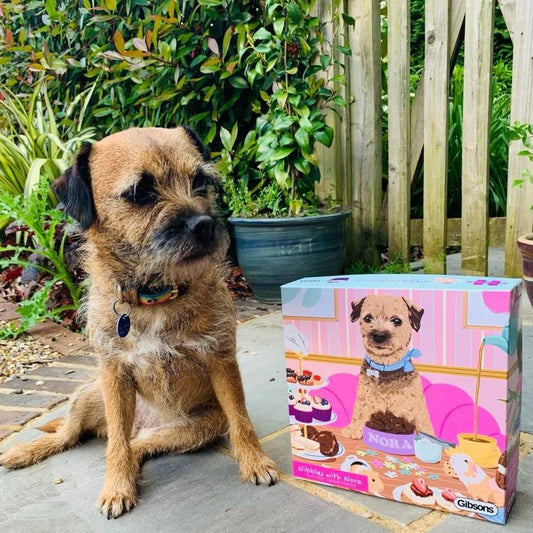 "1000-piece Nibbles with Nora jigsaw puzzle by Gibsons, featuring a charming border terrier dog inviting you to enjoy tasty treats."