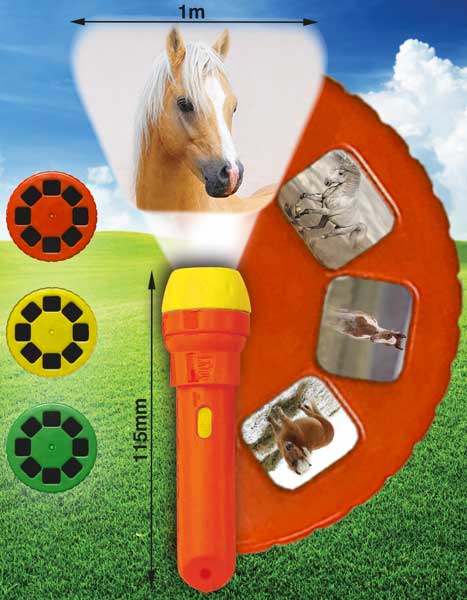 Horse Torch and Projector