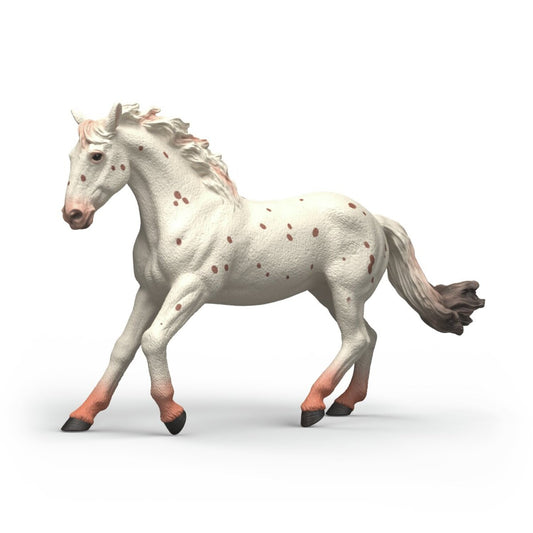Schleich 14917 Knabstrupper Mare Horse Figure picture on the white backgorund