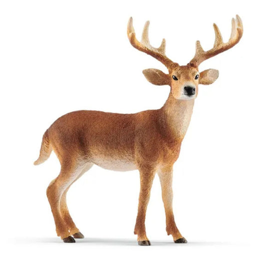 Toys at Foys - Schleich White-Tailed Buck 14818