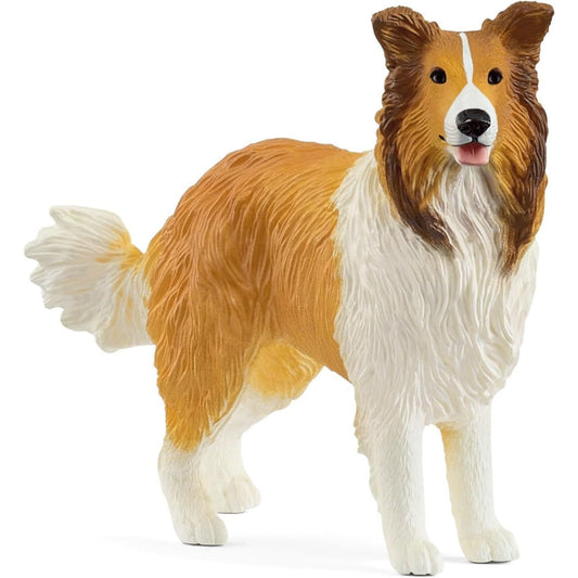 collie figure