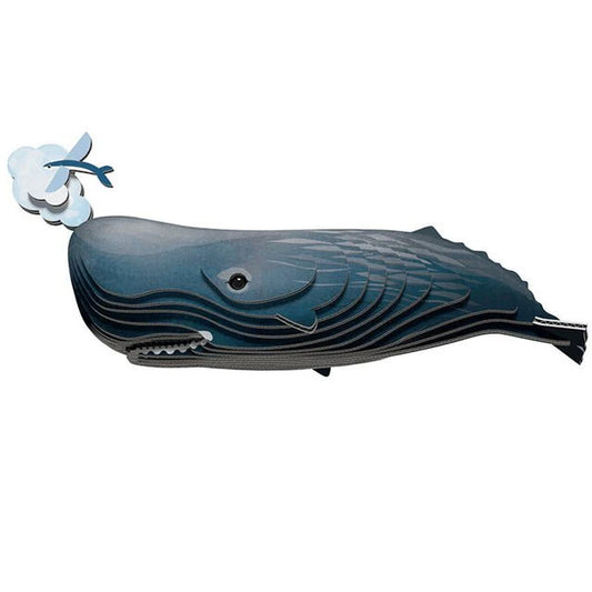 eugy sperm whale