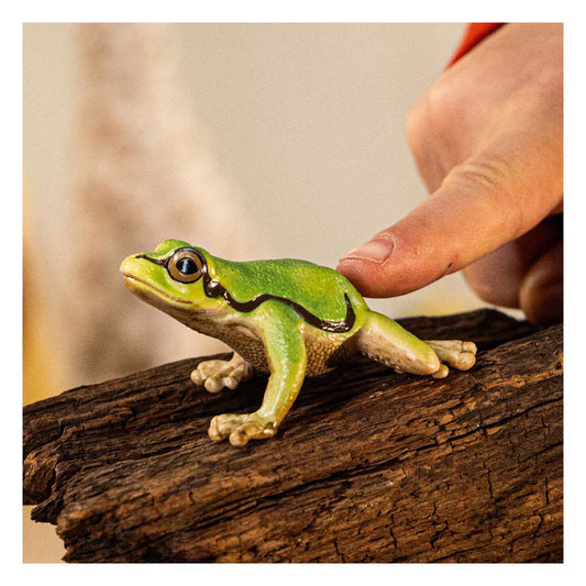green frog on a log with finger