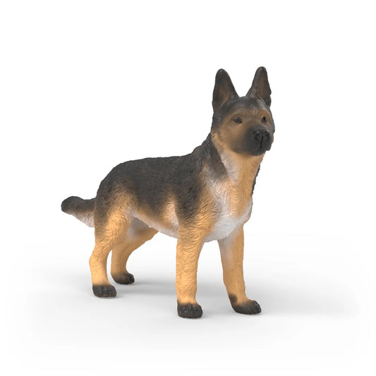 dog toy
