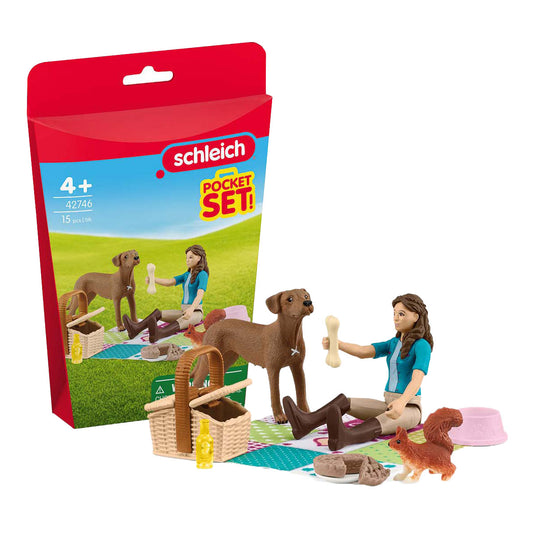 picnic playset