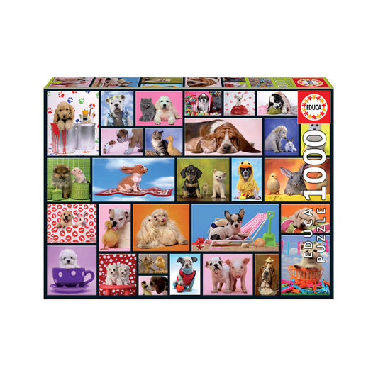 shared moments jigsaw puzzle