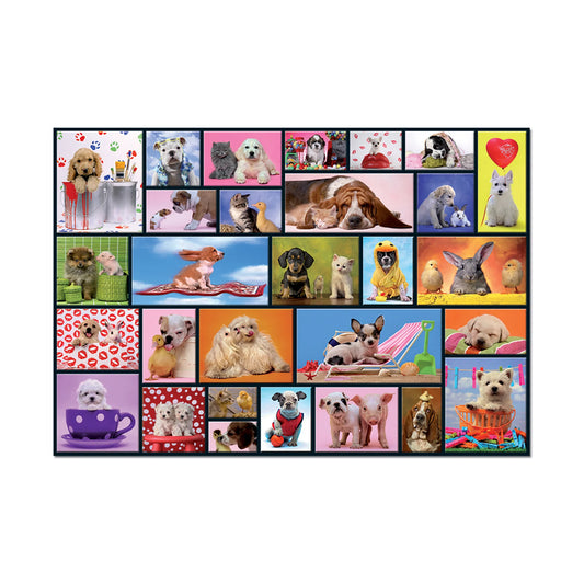 shared moments image