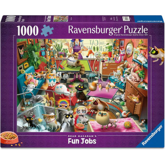 the cat groomer puzzle box