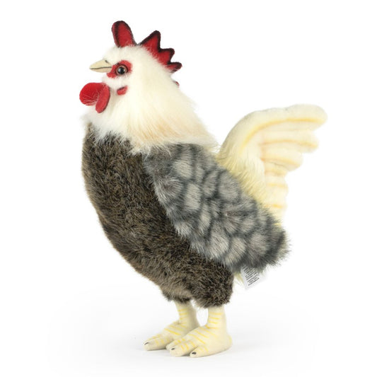 Plush Bantam Cockerel standing upright with soft feathers.