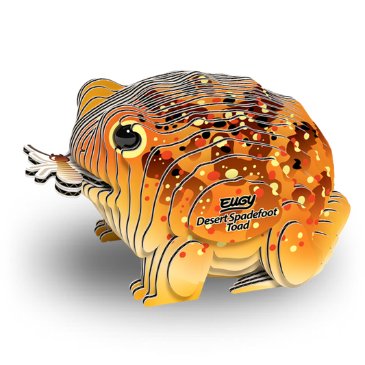 Eugy Desert Spadefoot Toad kit showcasing eco-friendly design
