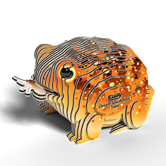 Completed Eugy Desert Spadefoot Toad model