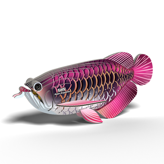 Close-up of the Eugy Asian Arowana’s detailed design.