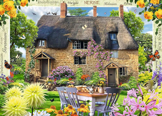 Features a charming cottage garden filled with colourful details
