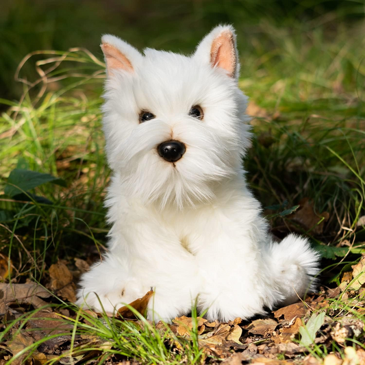 Animigos World Of Nature Westie Dog in the grass