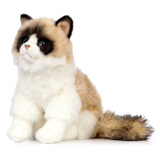 Side view of the Living Nature Ragdoll Cat