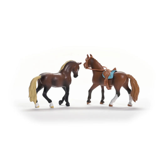 Schleich Horse Club "Peruvian Step" Starter Set