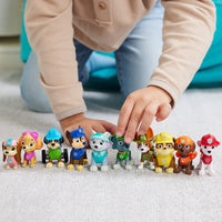 Paw Patrol The All Paws Gift Pack