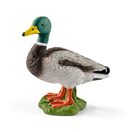 Schleich Drake