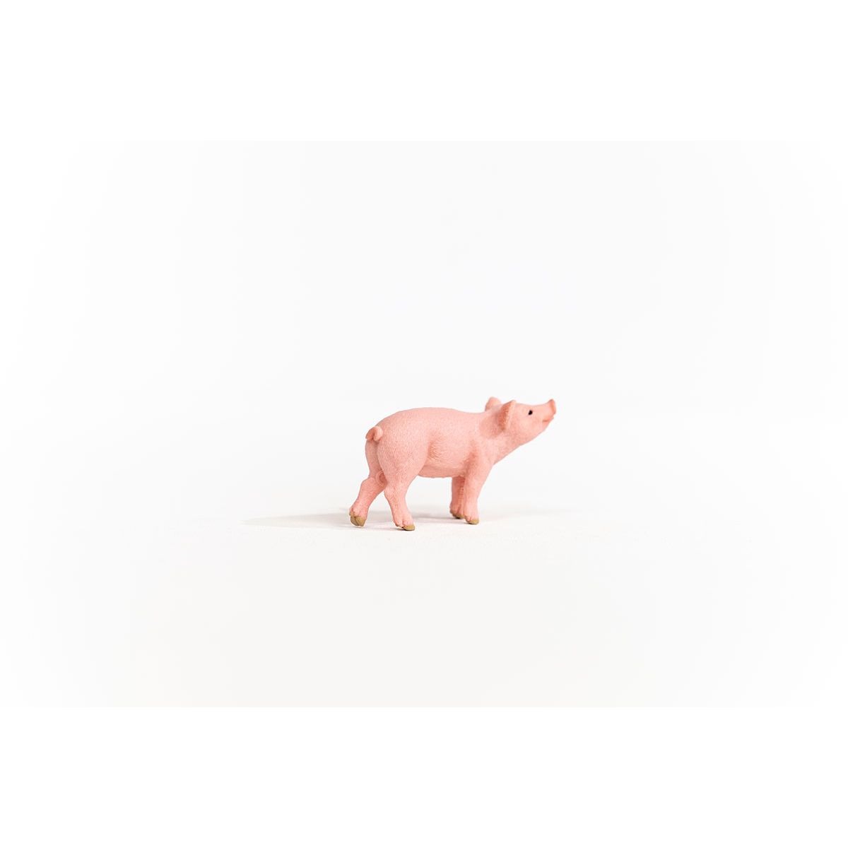 Schleich Piglet