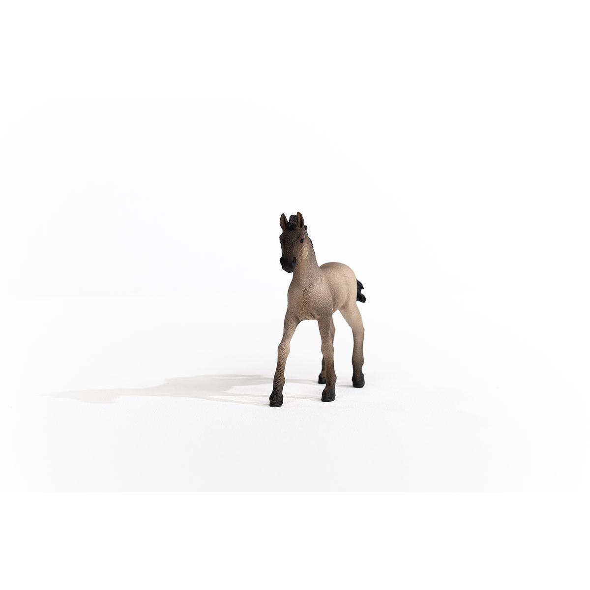 Schleich 13949 Criollo Definitivo Foal