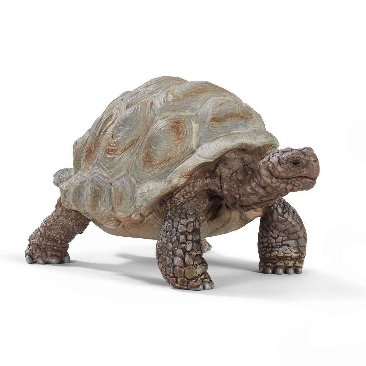 Schleich 14824 Giant Tortoise