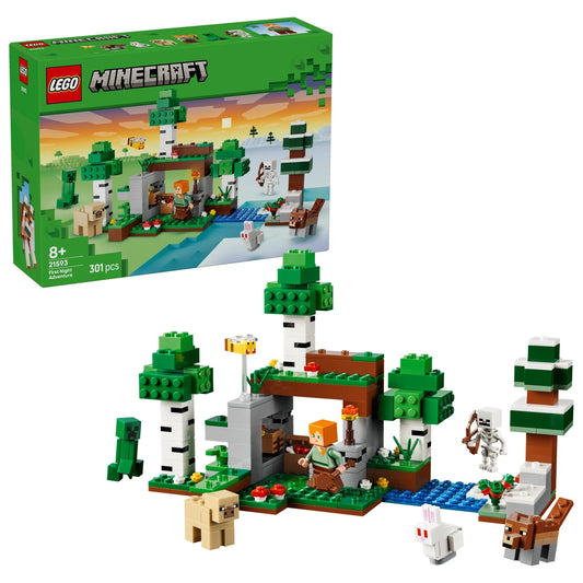 LEGO Minecraft 21593 First Night Adventure – box