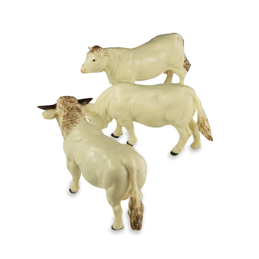 Britains Charolais Cows