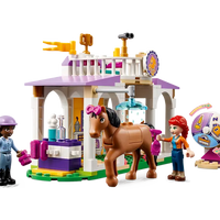 LEGO Friends 41746 Horse Training