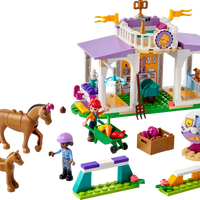 LEGO Friends 41746 Horse Training