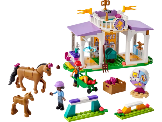 LEGO Friends 41746 Horse Training