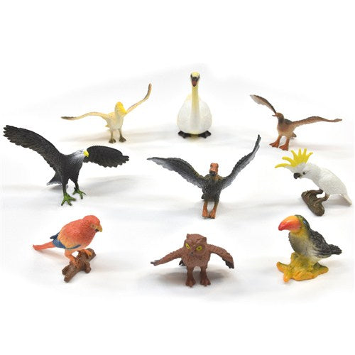 Bird world 9pc Set