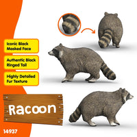 SCHLEICH Raccoon figure 14937 – view 4