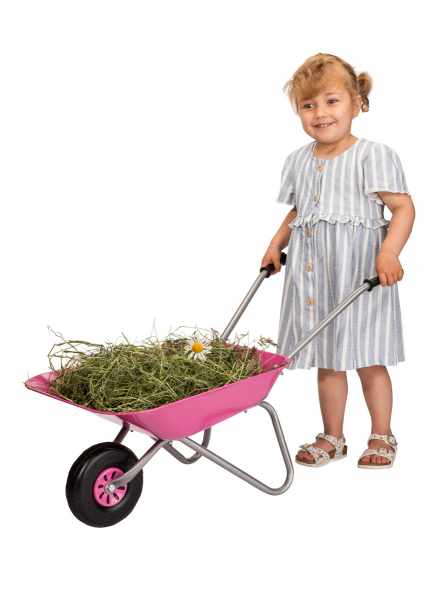 rolly Metal Wheelbarrow Pink