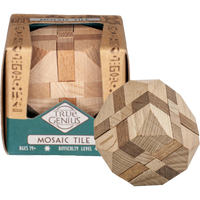 Project Genius True Genius Mosaic Tile Brain Teaser Puzzle – product view