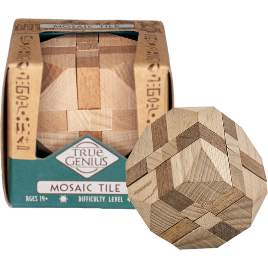 Project Genius True Genius Mosaic Tile Brain Teaser Puzzle – product view