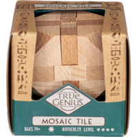 Project Genius True Genius Mosaic Tile Brain Teaser Puzzle – product view