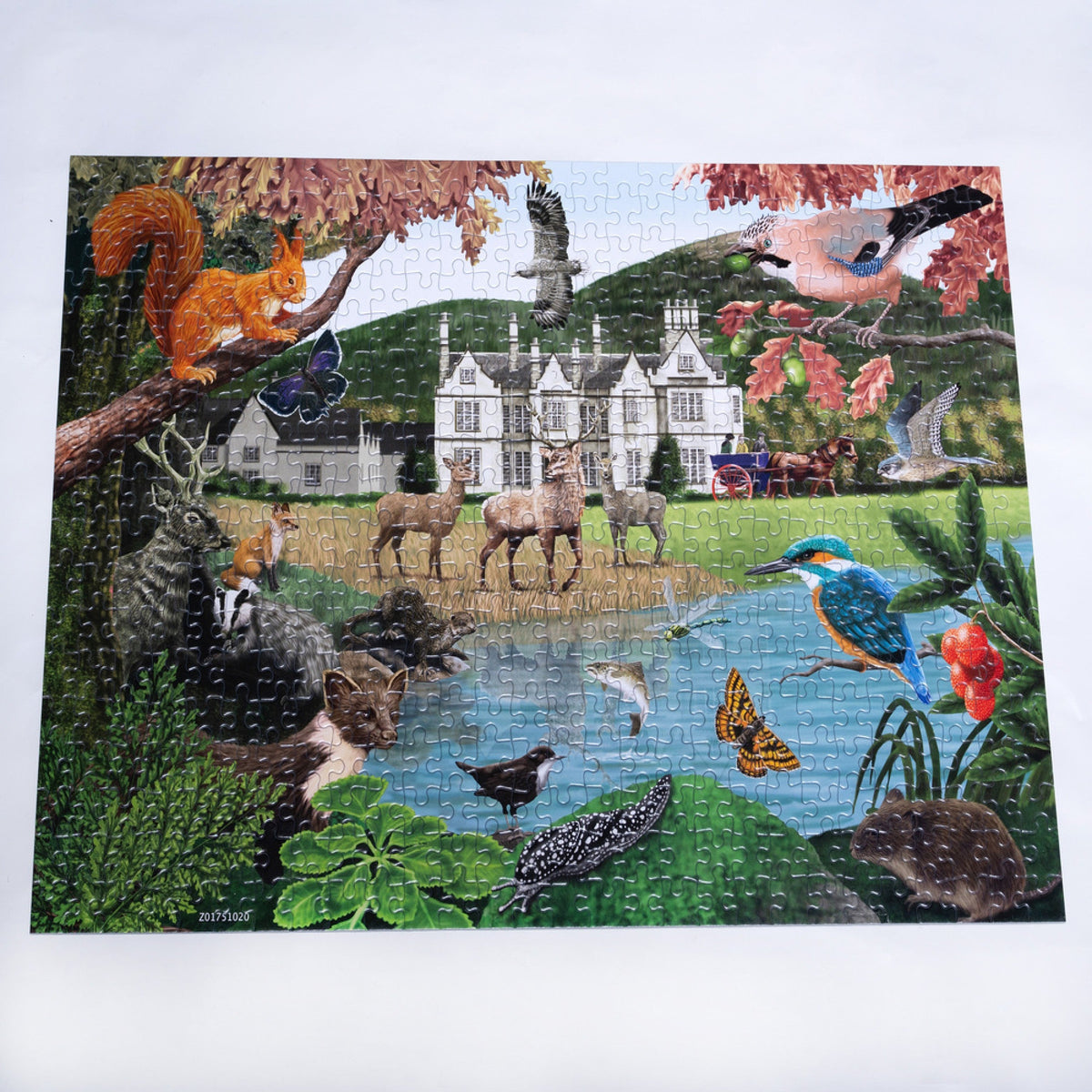 Gosling Games Killarney 500 piece jigsaw puzzle with illustrated Killarney National Park scenes – detail 3