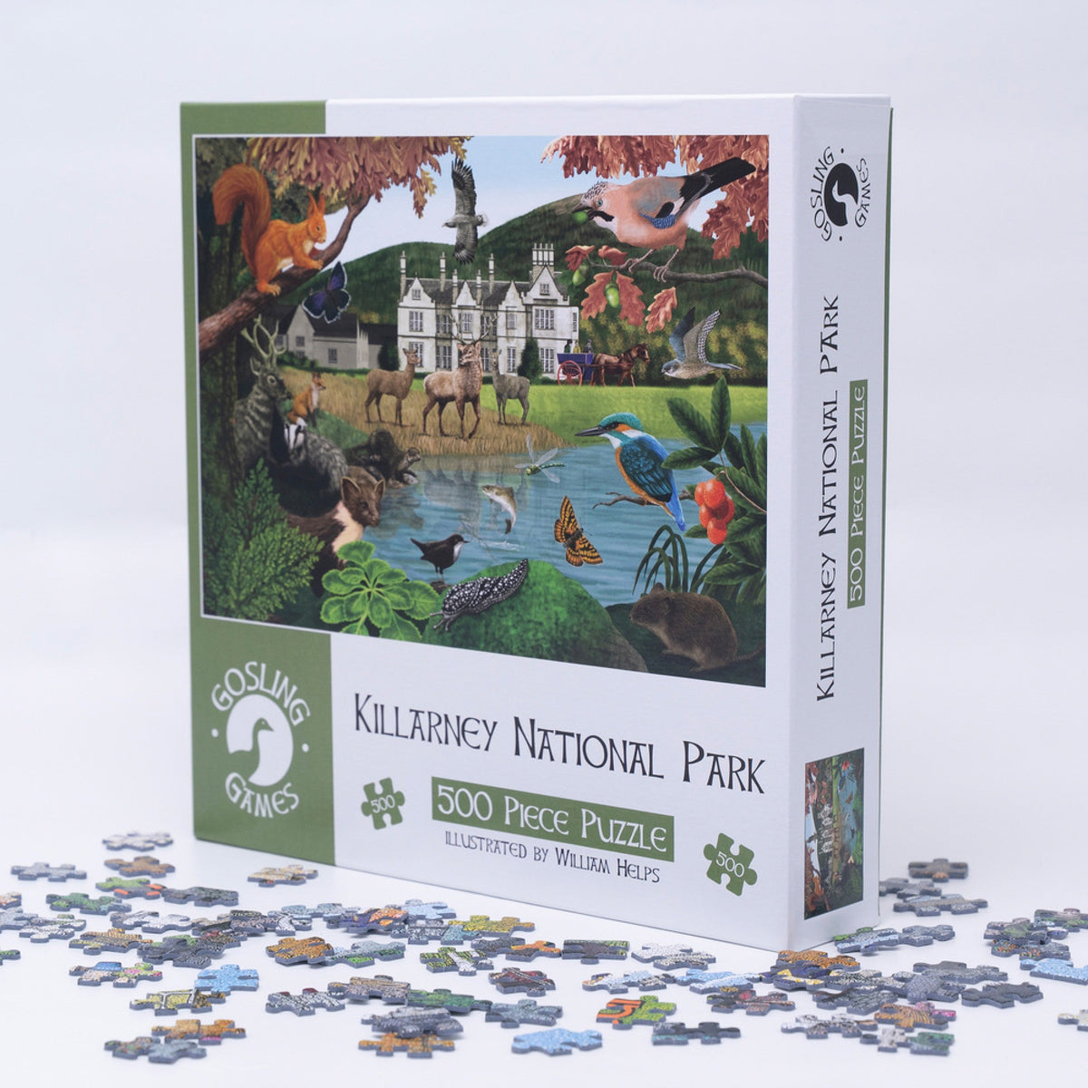 Gosling Games Killarney 500 piece jigsaw puzzle with illustrated Killarney National Park scenes – detail 1
