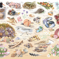 House of Puzzles Sea Shore BIG 500 Piece Jigsaw Puzzle image 3