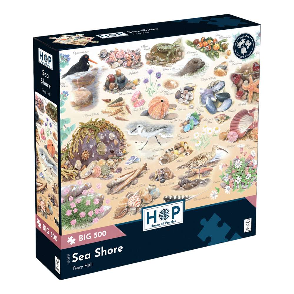 House of Puzzles Sea Shore BIG 500 Piece Jigsaw Puzzle box front