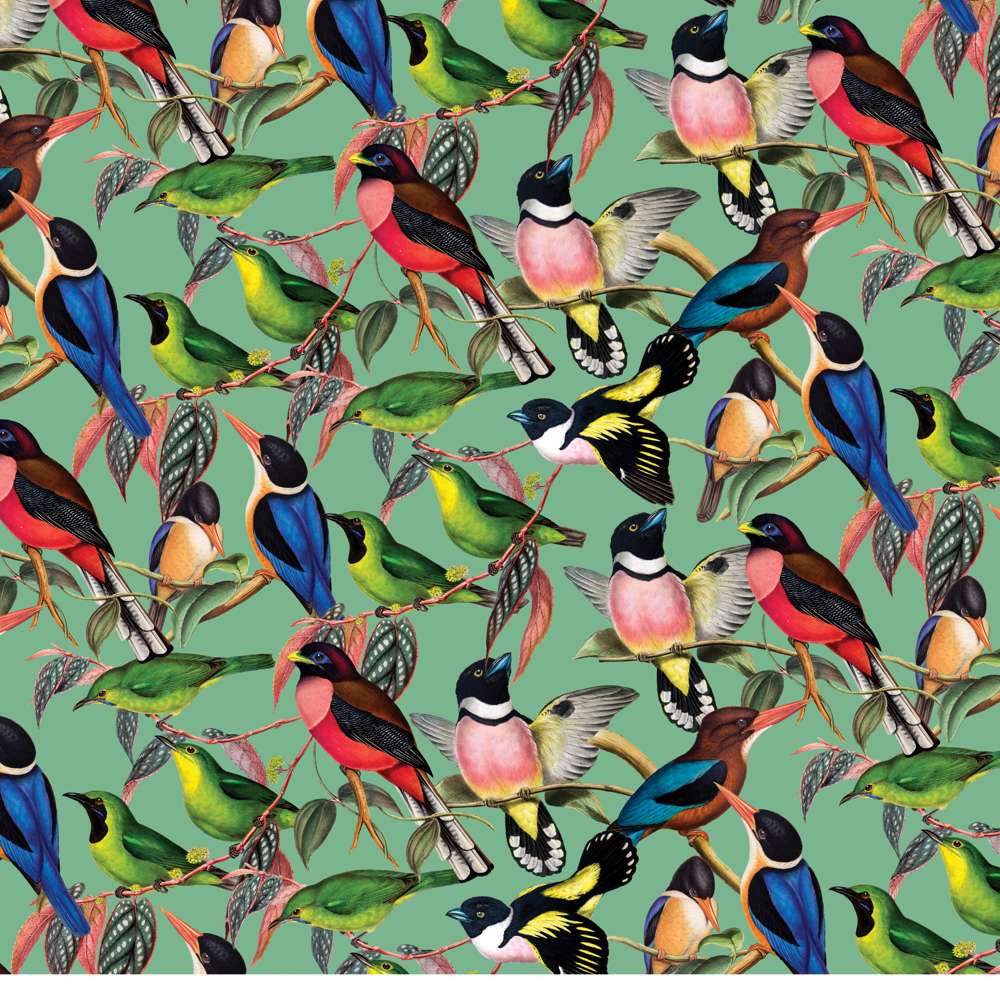 House of Puzzles ZSL Brilliant Birds 1000 Piece Jigsaw Puzzle image 2
