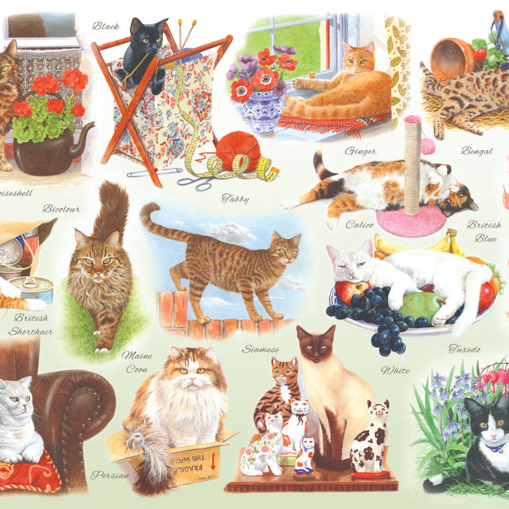 House of Puzzles A Clowder of Cats BIG 500 Piece Jigsaw Puzzle image 3