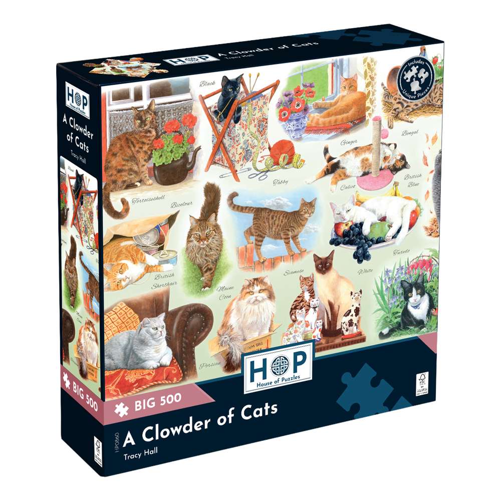 House of Puzzles A Clowder of Cats BIG 500 Piece Jigsaw Puzzle box front