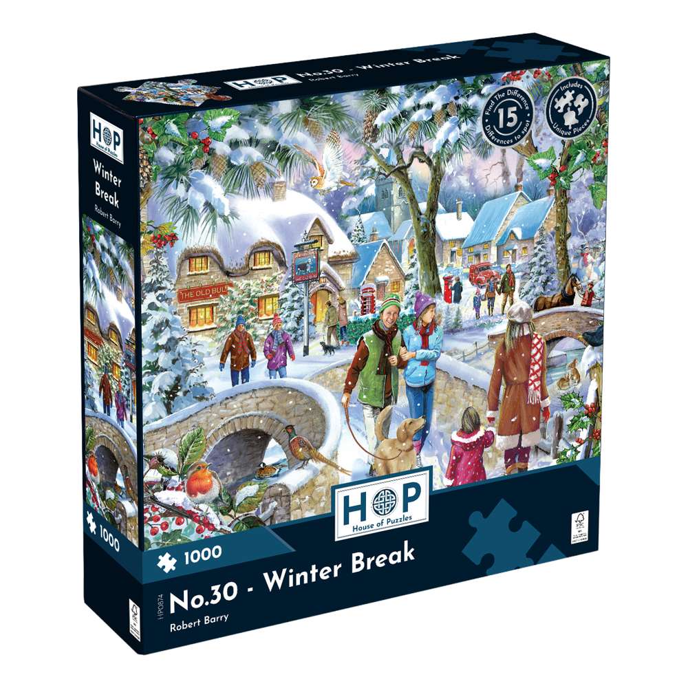 House of Puzzles Winter Break Find the Difference 1000 Piece Jigsaw box front