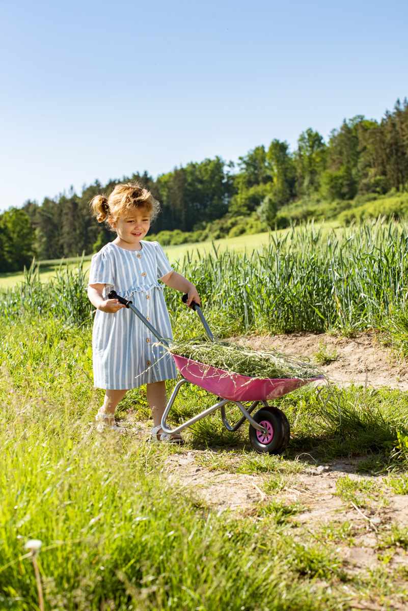 rolly Metal Wheelbarrow Pink