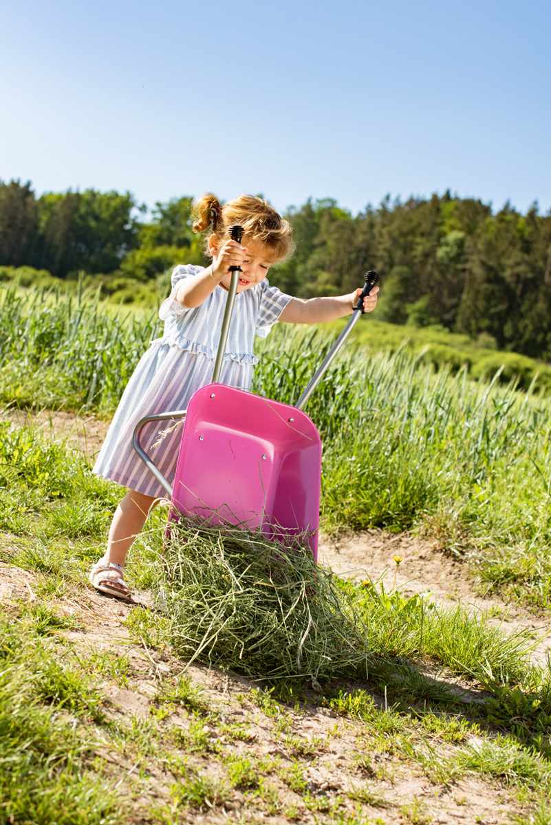 rolly Metal Wheelbarrow Pink