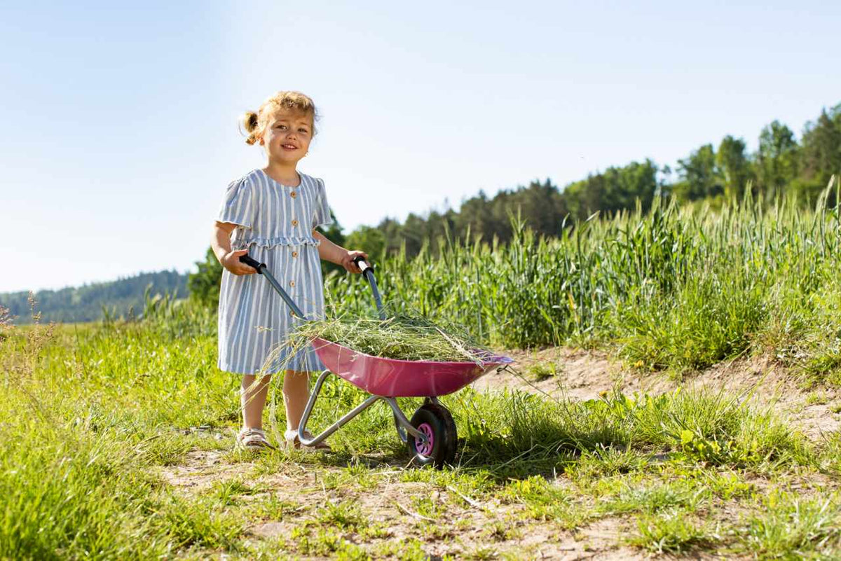 rolly Metal Wheelbarrow Pink