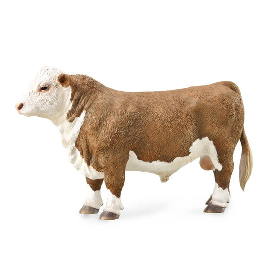 Brown and white bull on white background